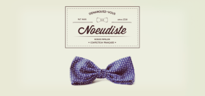 noeud papillon 2