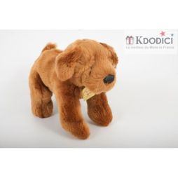 cadeau made in france chien
