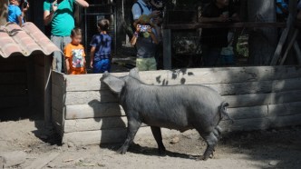 ferme 2