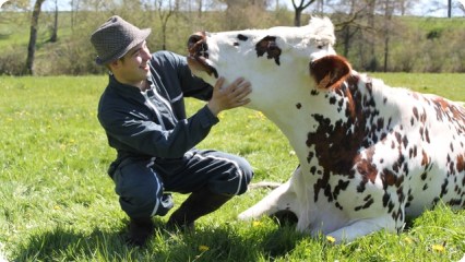 fromage 2