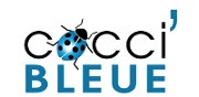 velo association 2