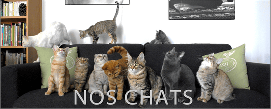 chats