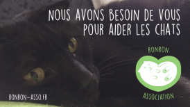 chats-2