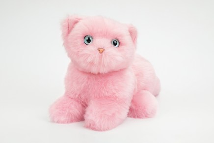 Peluche